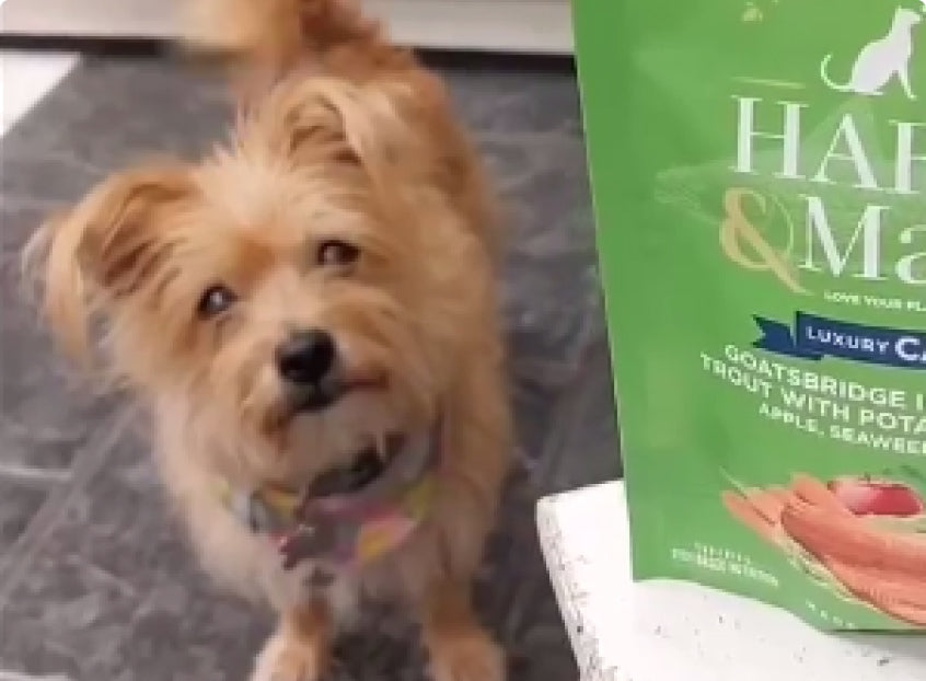 ...first time purchasing Harley and Marley treats…..and we are now big fans!