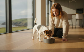 Best Dog Food for Fussy Small Dogs Ireland: 2026 Guide