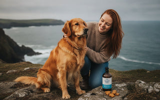Best Dog Supplements for Dry Skin Ireland: 2026 Buying Guide