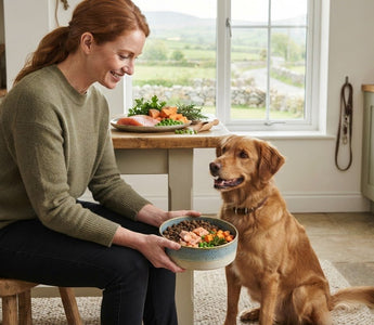 Best Grain-Free Adult Dog Food: How to Choose the Right Recipe in 2026