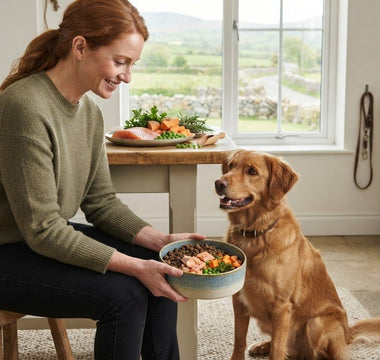 Best Grain-Free Adult Dog Food: How to Choose the Right Recipe in 2026
