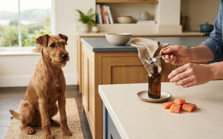 Can I Give My Dog Fish Oil Every Day? A Safe, Practical Guide