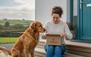 Choosing the Best Dog Food Subscription in Ireland: A 2026 Buying Guide