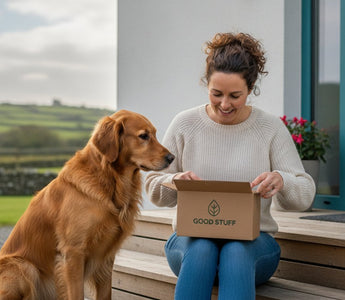 Choosing the Best Dog Food Subscription in Ireland: A 2026 Buying Guide