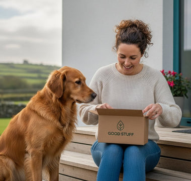 Choosing the Best Dog Food Subscription in Ireland: A 2026 Buying Guide