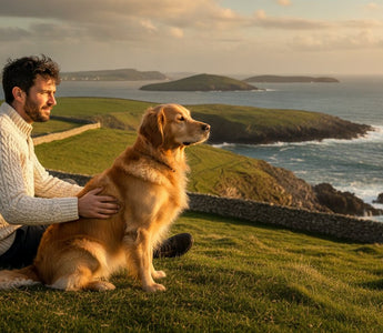 Dog Food for Allergies Ireland: 2026 Comparison Guide