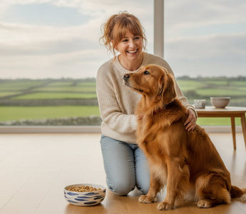 Dog Food for Loose Stools Ireland: 2026 Digestibility Guide