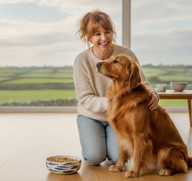 Dog Food for Loose Stools Ireland: 2026 Digestibility Guide