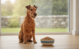 Dog Food for Small Dogs: 2026 Nutritional Guide