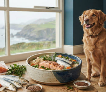 Dog Food Without Chicken: The 2026 Guide to Poultry-Free Nutrition