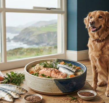 Dog Food Without Chicken: The 2026 Guide to Poultry-Free Nutrition