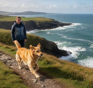 Fish-Based Dog Food for Large Breeds: 2026 Ireland Guide