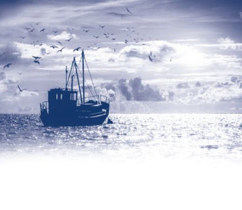 Benefits of Fish-Based Dog Food vs. Traditional Meat Diets