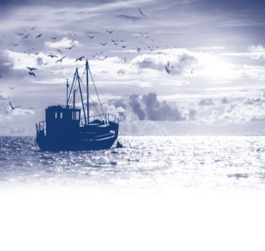 Benefits of Fish-Based Dog Food vs. Traditional Meat Diets