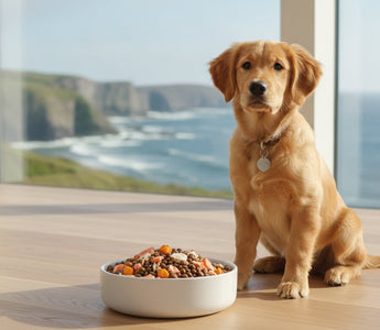 Grain-Free Puppy Food: The Ultimate Guide to Fish-Based Nutrition (2026)