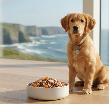 Grain-Free Puppy Food: The Ultimate Guide to Fish-Based Nutrition (2026)