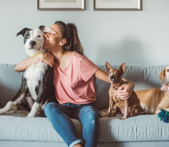 Happy pet patent with dogs