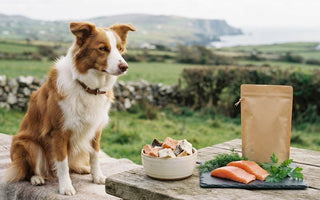 Healthy fish dog treats in Ireland: prices and ingredients