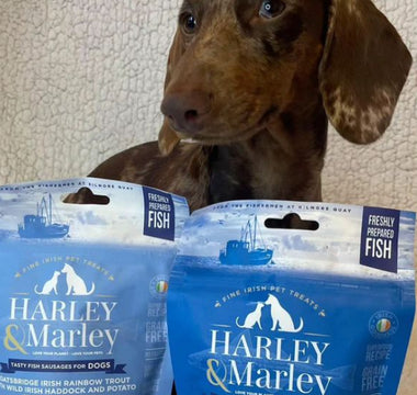 My big dogs favourite was the fish roll, he couldn’t get enough of them!
