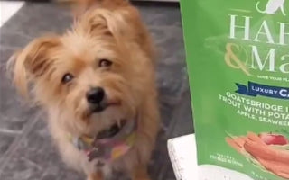 ...first time purchasing Harley and Marley treats…..and we are now big fans!
