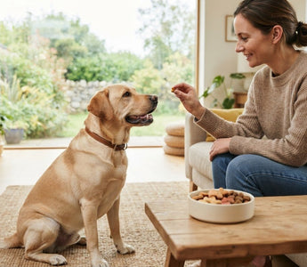 Low Calorie Dog Treats for Training and Everyday Rewards