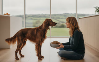 Low Fat Dog Food Ireland: A Premium Guide to Weight & Digestive Health