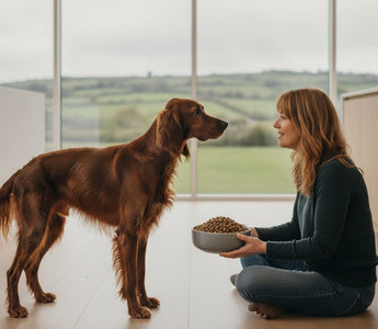 Low Fat Dog Food Ireland: A Premium Guide to Weight & Digestive Health