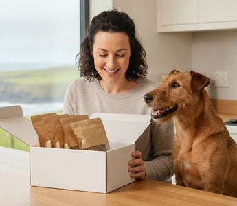 Monthly Dog Food Box Ireland: The 2026 Guide to Premium Fish-Based Subscriptions