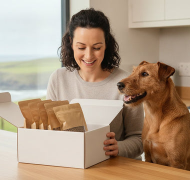 Monthly Dog Food Box Ireland: The 2026 Guide to Premium Fish-Based Subscriptions