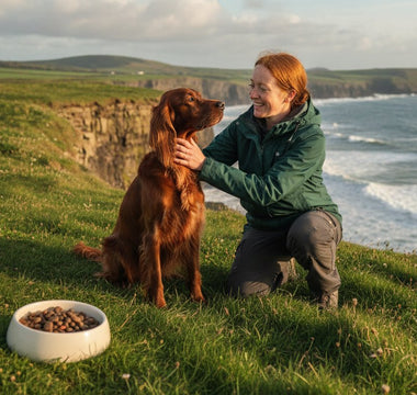 Natural Dry Dog Food: The 2026 Guide to Premium Canine Nutrition