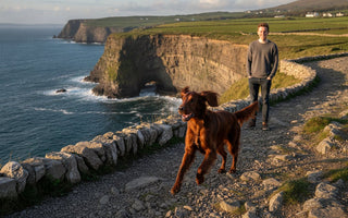 Omega 3 Dog Food Benefits: A Complete Guide to Canine Vitality in 2026