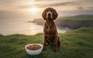 Puppy Food Ireland: Fish-Based Nutrition for Growth