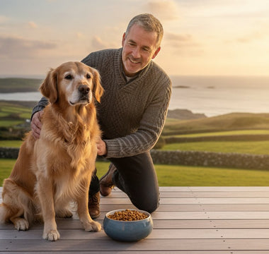 Senior Dog Food Ireland: The 2026 Guide to Fish-Based Nutrition for Ageing Paws