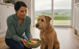 Signs Your Dog Has a Food Allergy: The 2026 Essential Checklist for Pet Parents