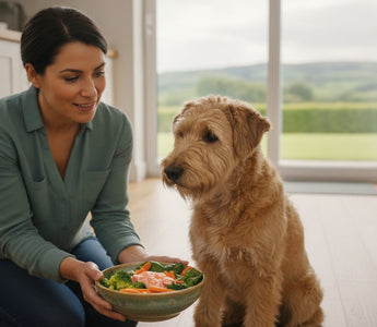 Signs Your Dog Has a Food Allergy: The 2026 Essential Checklist for Pet Parents