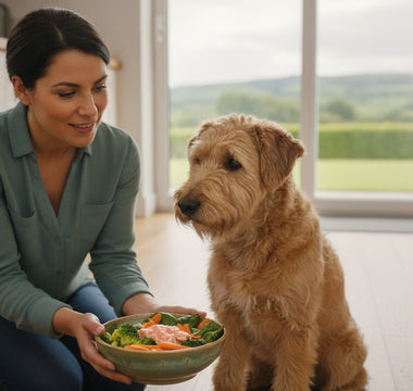 Signs Your Dog Has a Food Allergy: The 2026 Essential Checklist for Pet Parents