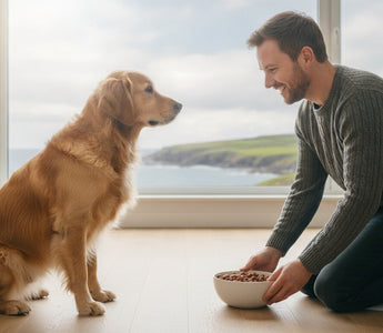 Switching Dog Food to Fish-Based: A Smooth Transition Guide