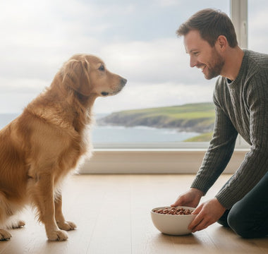 Switching Dog Food to Fish-Based: A Smooth Transition Guide