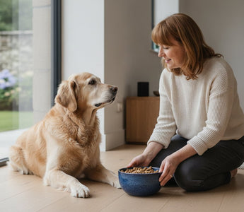 The Essential Senior Dog Food Checklist: Supporting Your Older Dog's Health in 2026