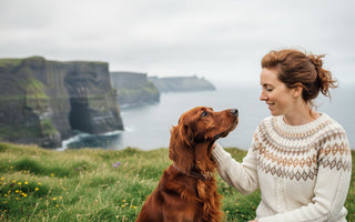 The Ultimate Buyer’s Guide to Grain Free Fish Based Dog Food in 2026