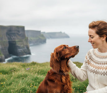 The Ultimate Buyer’s Guide to Grain Free Fish Based Dog Food in 2026