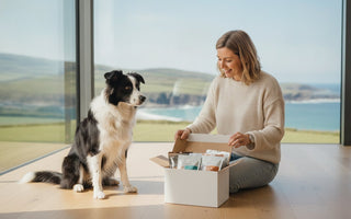 The Ultimate Guide to Dog Food Subscriptions in Ireland: Quality, Convenience, and Vitality (2026)