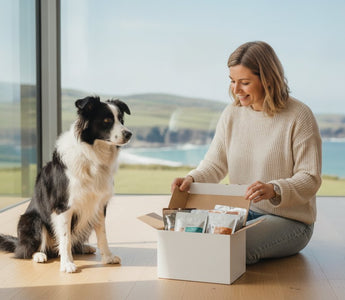 The Ultimate Guide to Dog Food Subscriptions in Ireland: Quality, Convenience, and Vitality (2026)