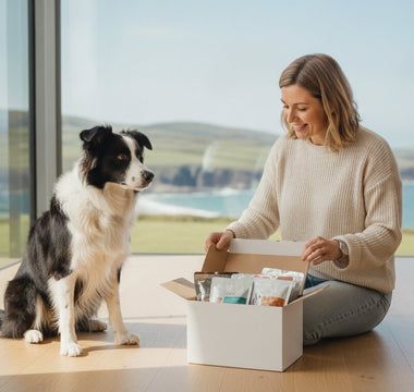 The Ultimate Guide to Dog Food Subscriptions in Ireland: Quality, Convenience, and Vitality (2026)