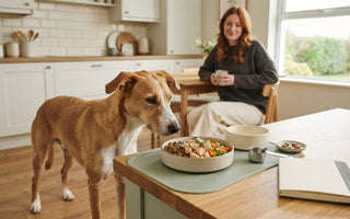 Ways to Manage a Picky Eater Dog’s Meals